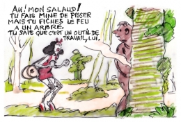 Incendies Bois de Vincennes.jpg