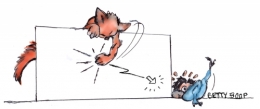 fritz the cat,tom et jerry,hercule et pif,dagobert,moustache et tritinette,pat sullivan,calvo bd,félix le chat