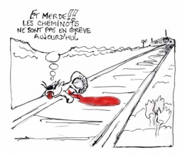 SNCF-chat-écrasé.jpg