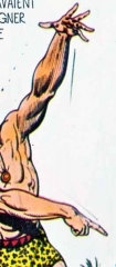 tarzan,bd de collection,bd,bd anciennes,hogarth,sexualité,illustrés pour enfants