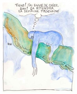 paresseux,mammifères,vie animale,forêts tropicales,amérique centrale,amérique du sud,bradypus variegatus