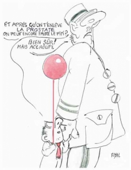 françois hollande,opération prostate,phallocratie,hopital cochin,général de gaulle,homme d'état état de santé