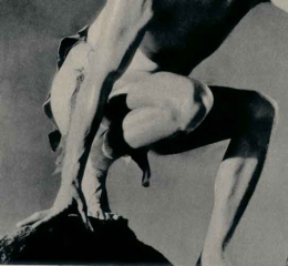 BD-Tarzan-s'évade-fragment.jpg