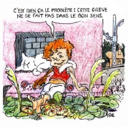 air algérie,grèves,transport,voyage,familles algériennes en france