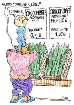 contamination,alimentation,bactérie,eceh