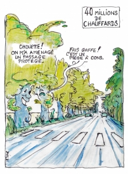 Sécurité-routière-arbres.jpg