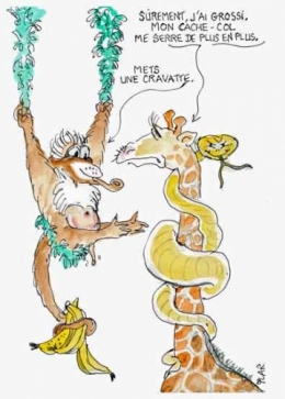 éthologie animale,vie des animaux,