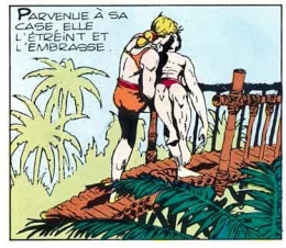 bd américaine,le fantôme du bengale,tarzan,ryal,bandes dessinées de collection,loi du 16 juillet 1949,tarzanides du grenier,bar zing