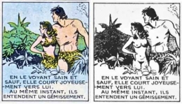 Tarzan,Tarzanide,Jane,Rex Maxon,BD,BD anciennes,éditions Del Duca,