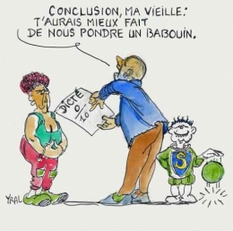 orthographe,babouins,cnrs,centre national de la recherche scientifique,