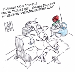 elisabeth badinter,mandel sfio,léon blum,himmler