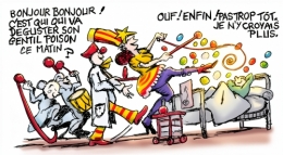 euthanasie,droit sur l'aide à mourir,fin de vie,soins palliatifs