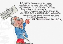 races,racisme,lutte contre le racisme,politique,déclin de l'occident