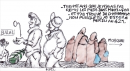 Elections municipales 2026.jpg