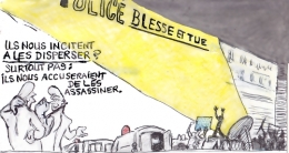 lyon fête des lumières,la police blesse et tue,soulèvements de la terre,gregory doucet proteste