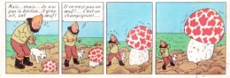 BD-Tintin,-les-champignons.jpg