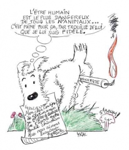 Animaux morts à la guerre.jpg