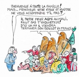 allocations familiales,immigration,polygamie,excision,aides sociales,démocratie,