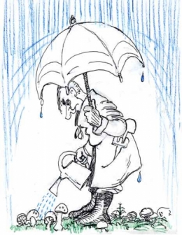 Dimanche-29-pluvieux.jpg