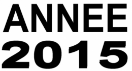 Bonne-année-2015.jpg