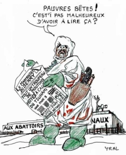 Dégats-de-la-tempête.jpg