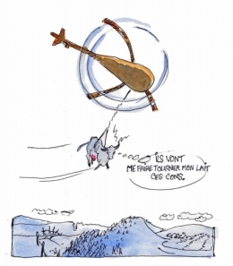 Vache-Hélitreuillée.jpg