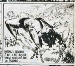 bd,bd anciennes,tarzan,tarzanides,choot,jacques tonnerre,johnny weissmuller,thunder jack,bd de collection,illustrés pour enfants