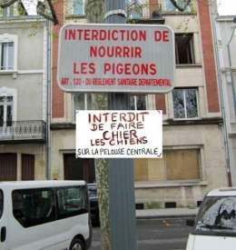 civisme,déjections canines,montluçon,propreté,appel à la mairie