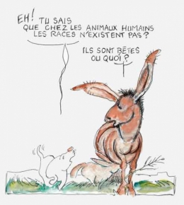 Nadine-Morano-provoque.jpg