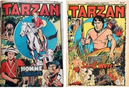 tarzan,e.r. burroughs,banksy,rex maxon,francis lacassin,Éditeur pauvert,revue bizarre,bandes dessinées de collection,raphaël sanzio
