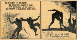 tarzan of the apes,hogarth,e.r. buroughs,mac clurg,rex maxon,guy deluchey,lacassin,bandes dessinées de collection,bd