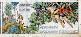 tarzanides,tarzan,hachette,le fils de tarzan,edgar rice burroughs,bd,bd anciennes,burne hogarth,junior,censure