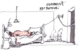 Hantavirus en France.jpg