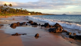 maui_22.jpg