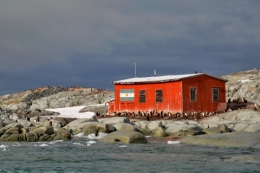 Ile petermann_03.JPG