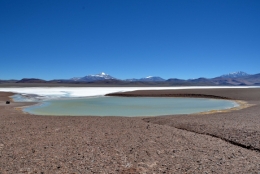 Laguna brava 12bb.jpg