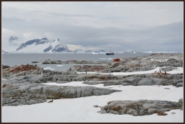 Ile petermann_21.JPG