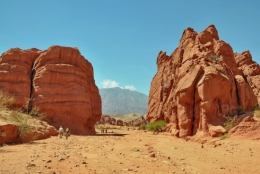 Las conchas quebrada 08.JPG