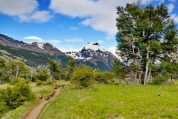 patagonie