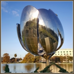floralis generica 09.jpg