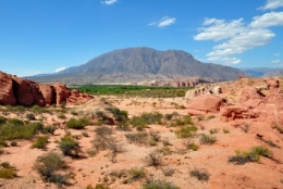 Las conchas quebrada 15.jpg