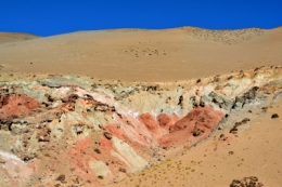 Laguna brava 27bb.jpg