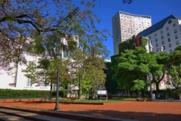 07.JPG
