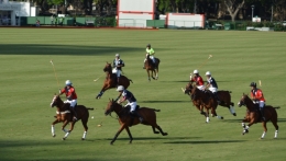 campo de polo buenos aires 09.JPG