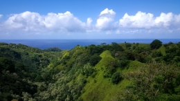 maui_05.jpg