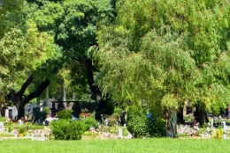 chacarita_24.JPG