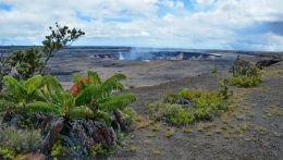 hawai 20.JPG