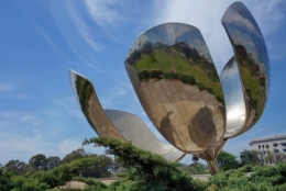 La Flor_3.JPG