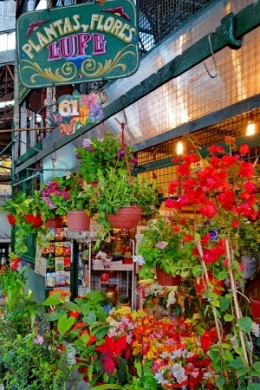 marche couvert san telmo buenos aires _05.JPG