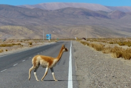 Salinas grandes _15.JPG